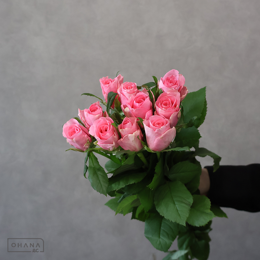 バラ　ピンクダイアモンド　秀50cm