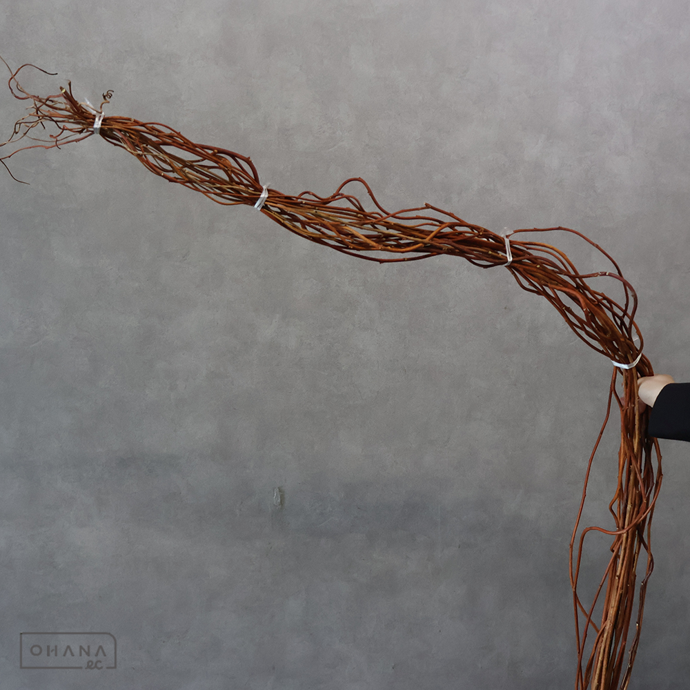 赤つる ※20本束　150-170cm