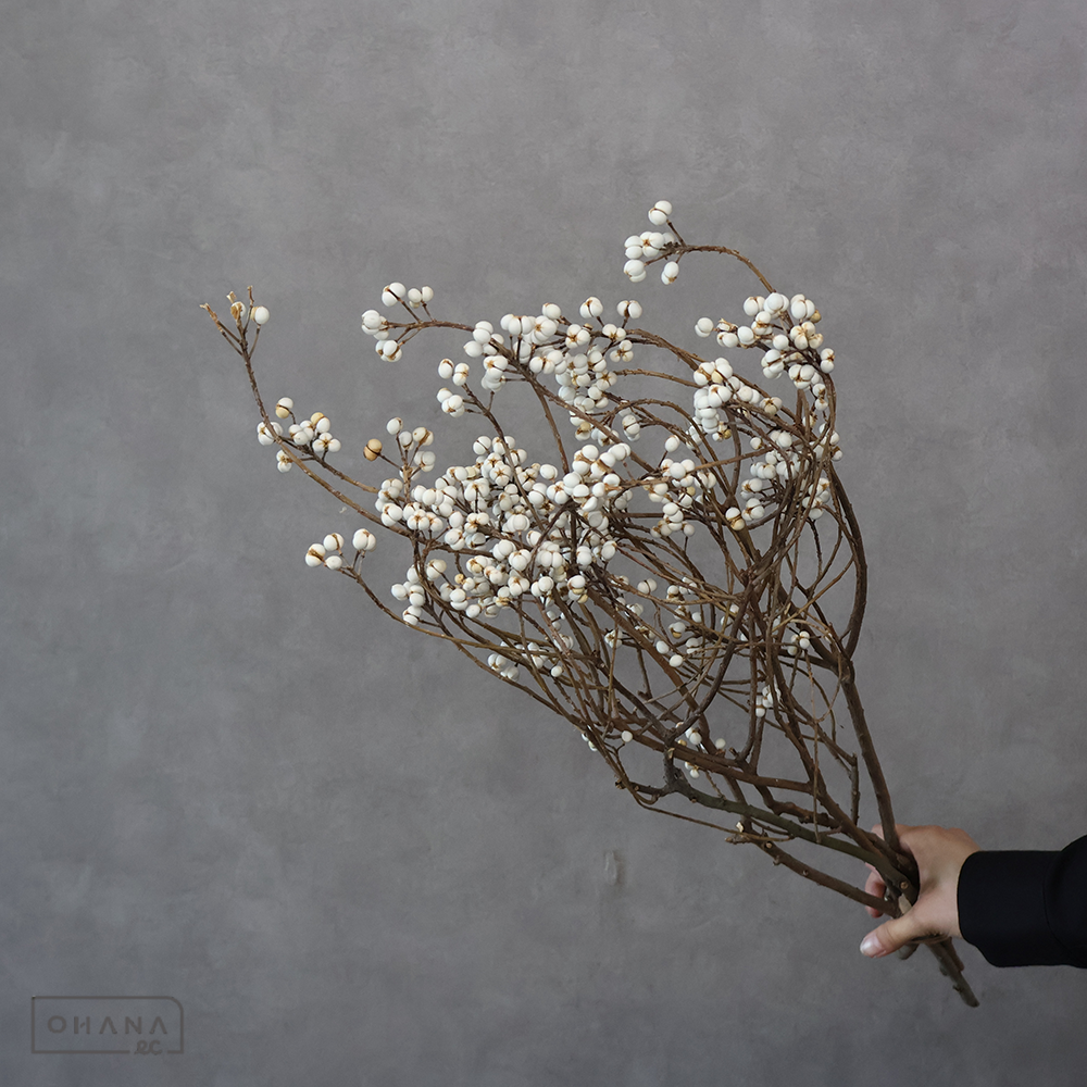 南京ハゼ束　L束