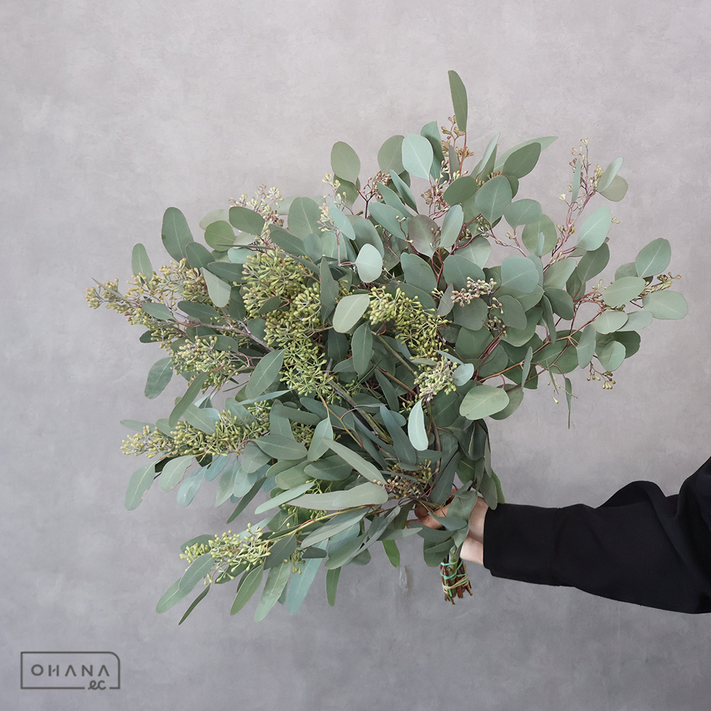 ポポラスベリー　束