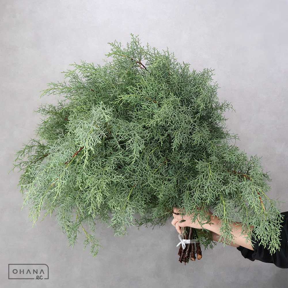 ブルーアイス 秀80CM