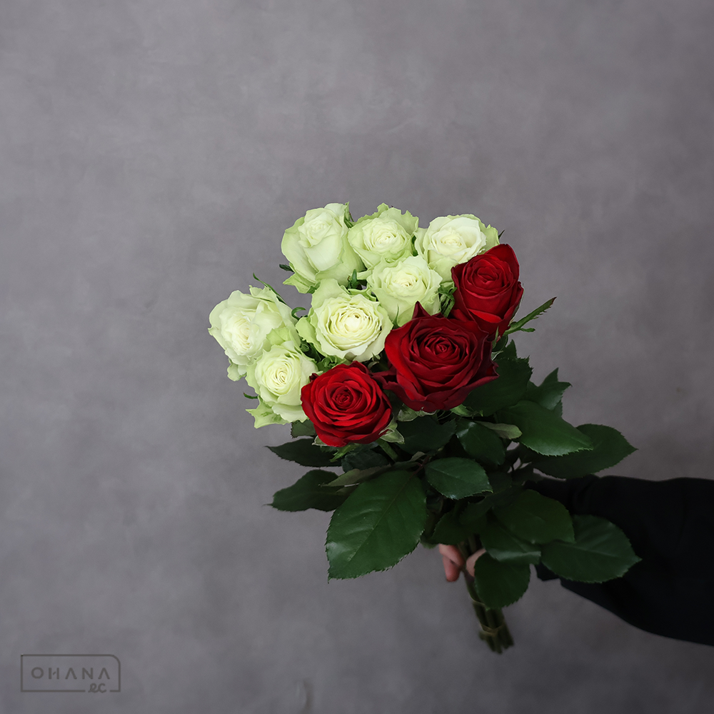 バラ MIX　⑤　70-60