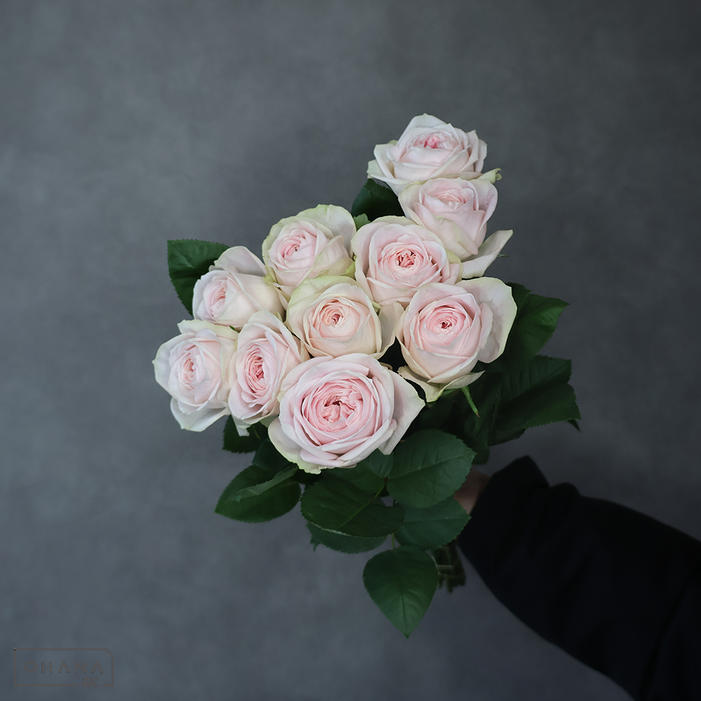 バラ ＳＴ・ＳＰ混合 ①　A 50-40