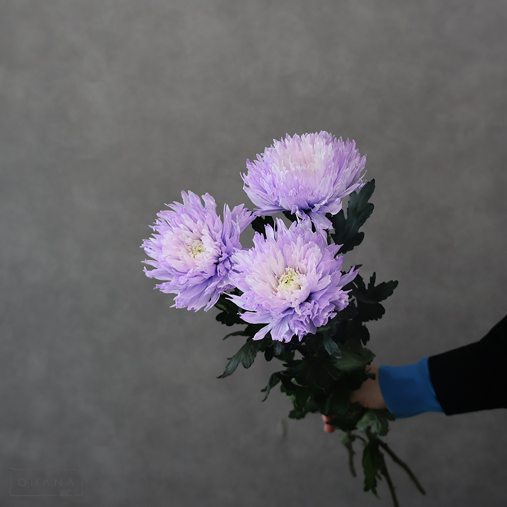 ディスバッドマム　染めアンダーカバー ①　