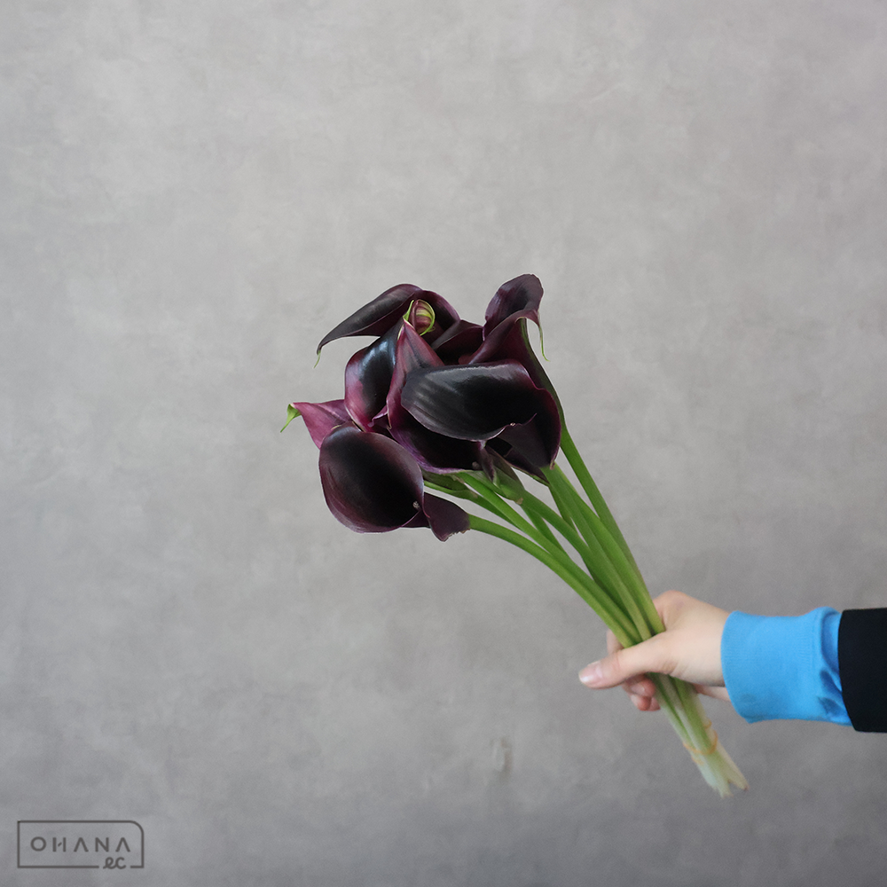 カラー紫　パープルアート　秀 60-40