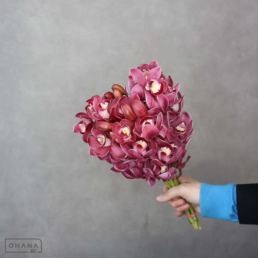 テーブルシンビ  ピンク　 ５本束