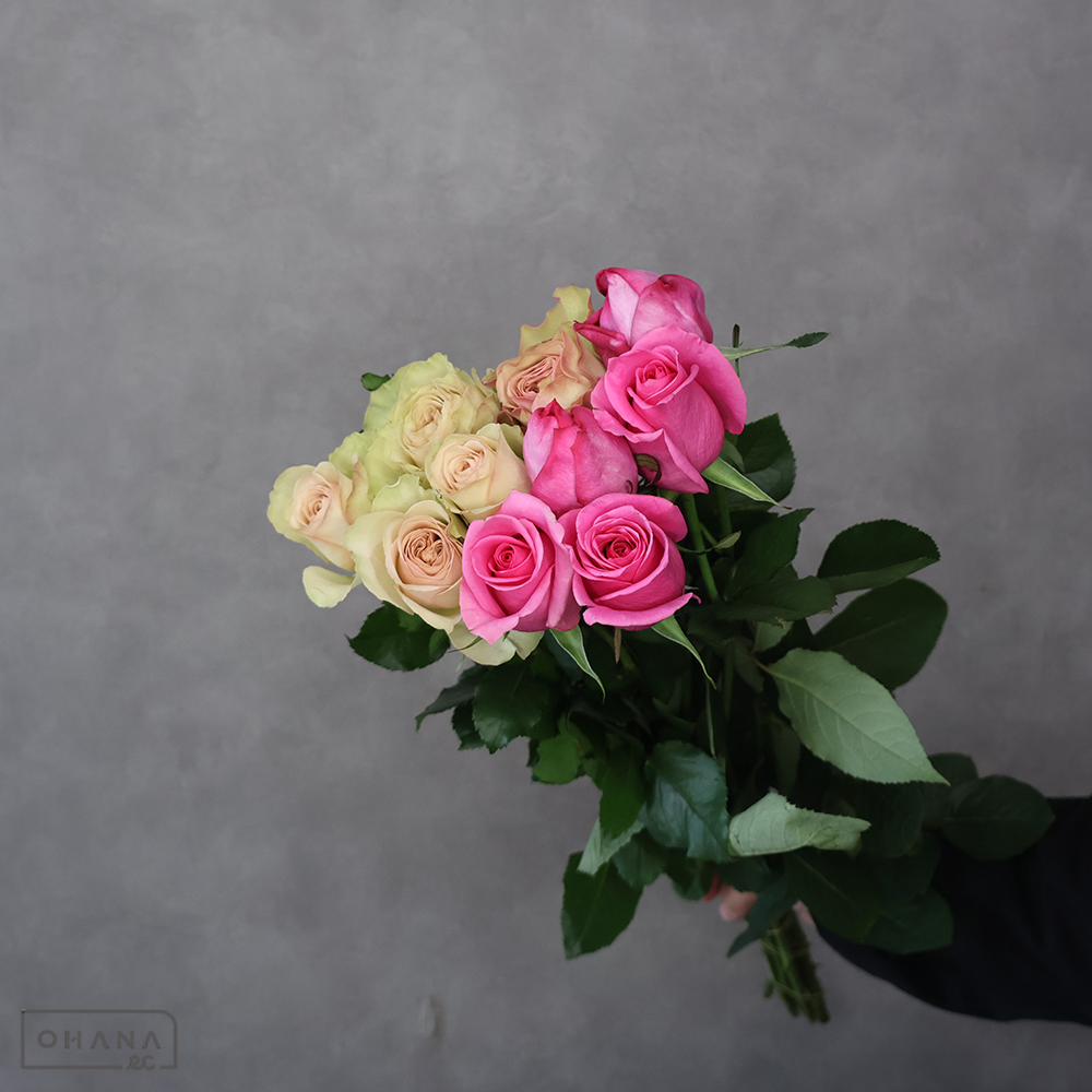 バラ MIX ⑤　70-60