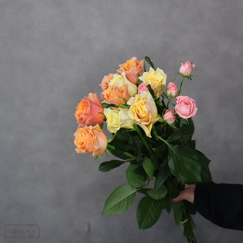 バラ MIX ④　70-60