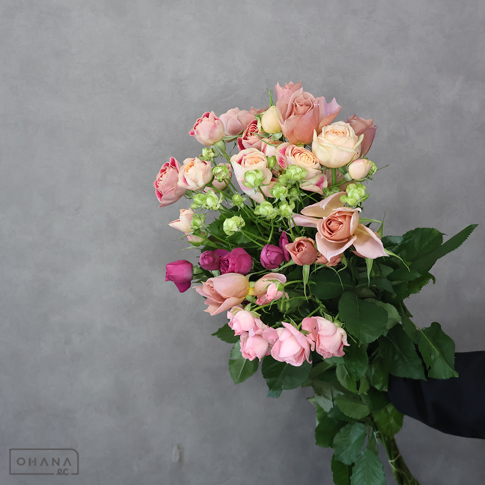 バラ MIX ③　70-60