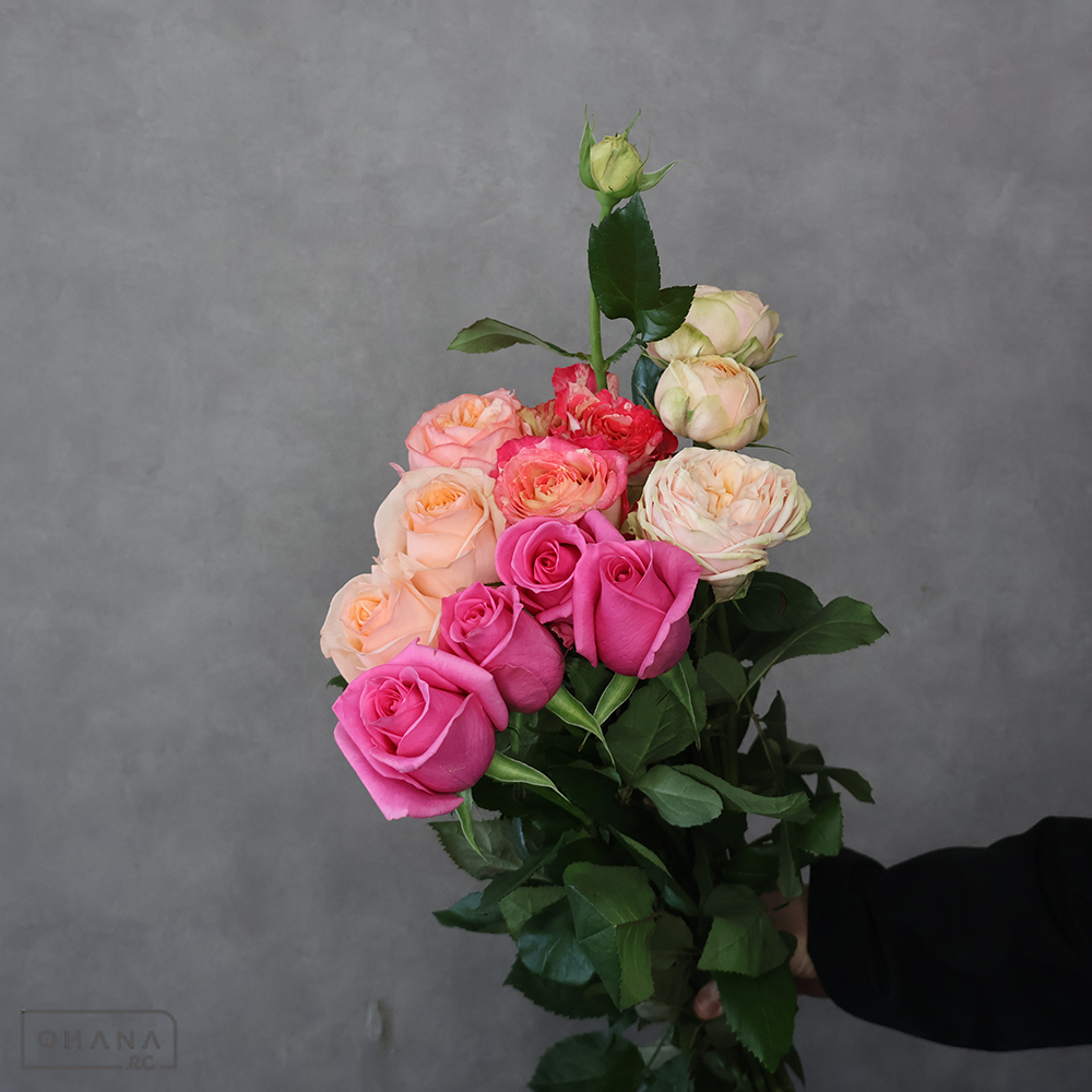 バラ MIX ②　70-60