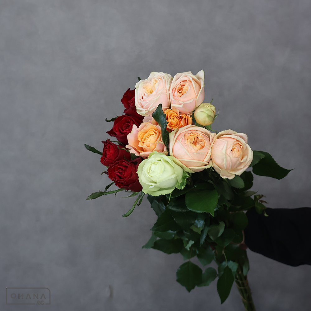 バラ MIX ①　70-60