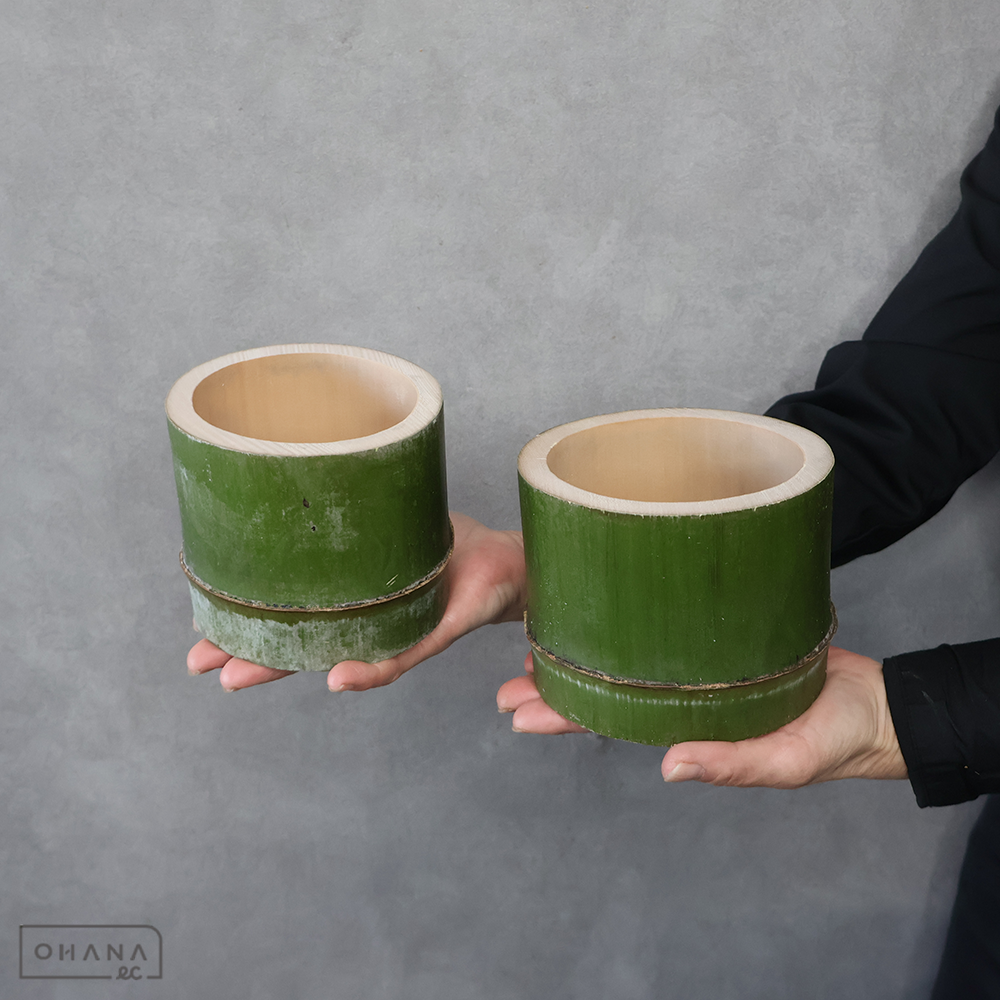 青竹 桶型 H10cm | お花の仕入れならOHANAec