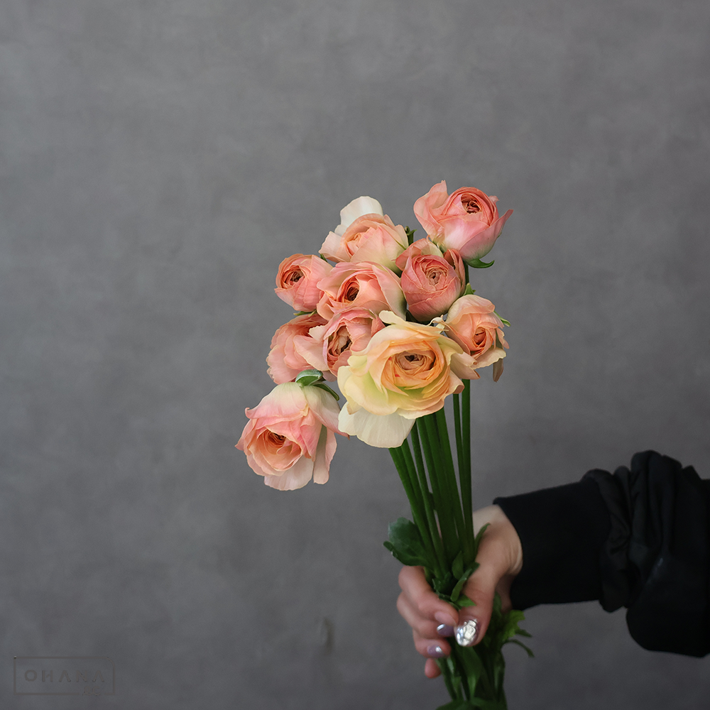 【SALE】ラナンキュラス　Ｍベージュ　秀 50cm　※クレーム対象外