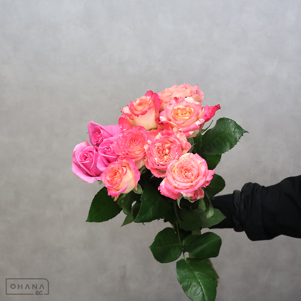 【SALE】バラ MIX ①　70-60　※クレーム対象外