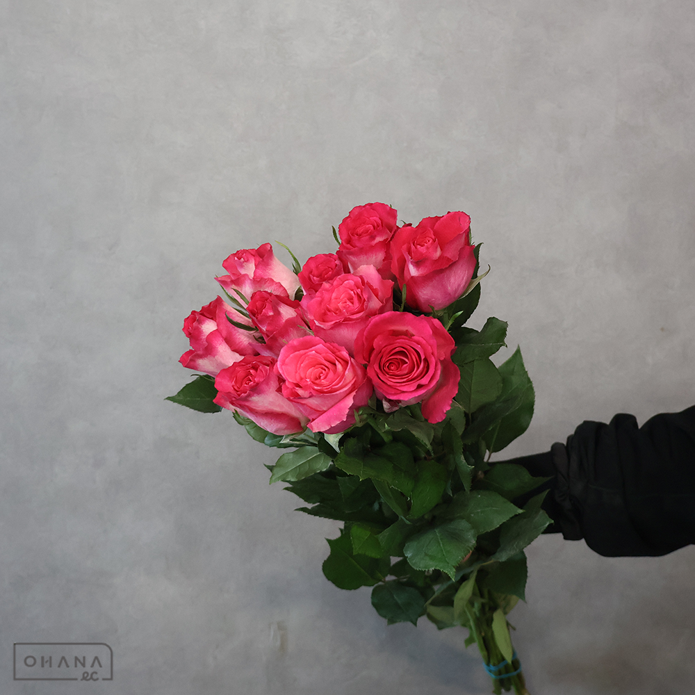 バラ　①　 60cm