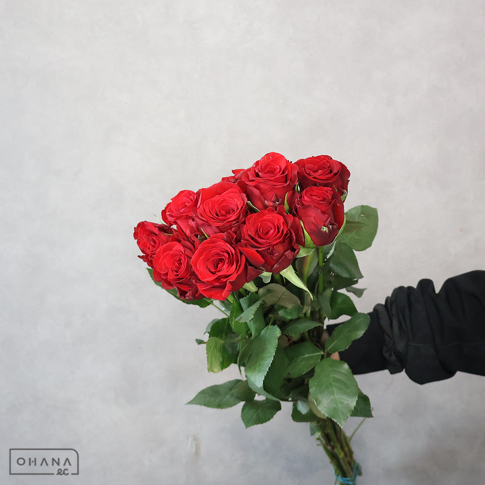 バラ　②　 60cm