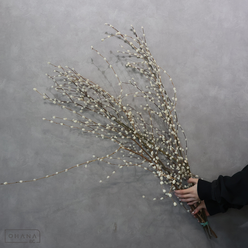 花餅　なみだ 白　特大 枝