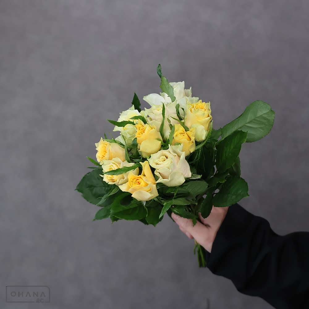 【SALE】バラ黄　レモンフォセット　 35cm ※19本束　※クレーム対象外