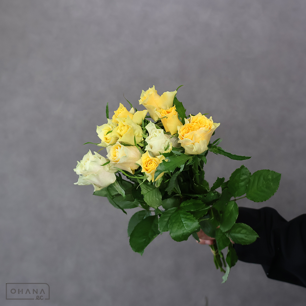 【SALE】バラ黄　レモンフォセット　 40cm　※クレーム対象外