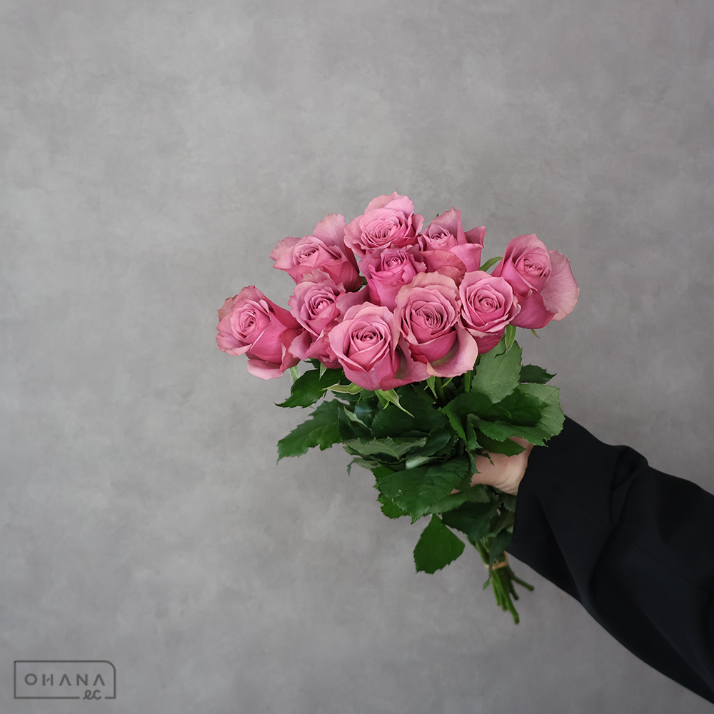 【SALE】バラ　アヴニール　 45cm　※クレーム対象外