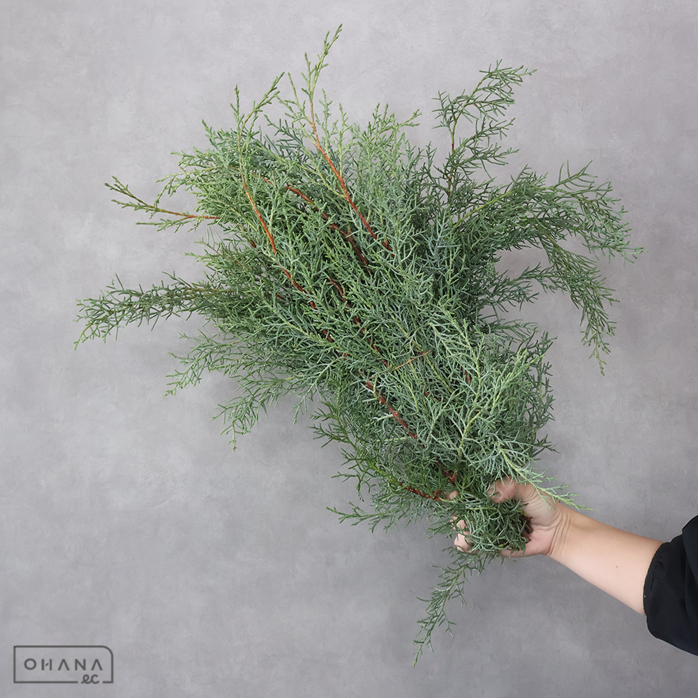 【SALE】ヒバ ブルーアイス　Ｍ　※クレーム対象外