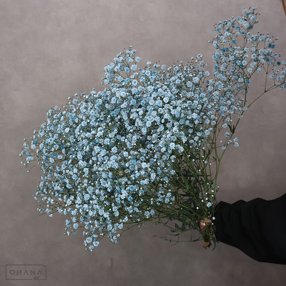 カスミソウ染め　モーヴ ②　 65cm