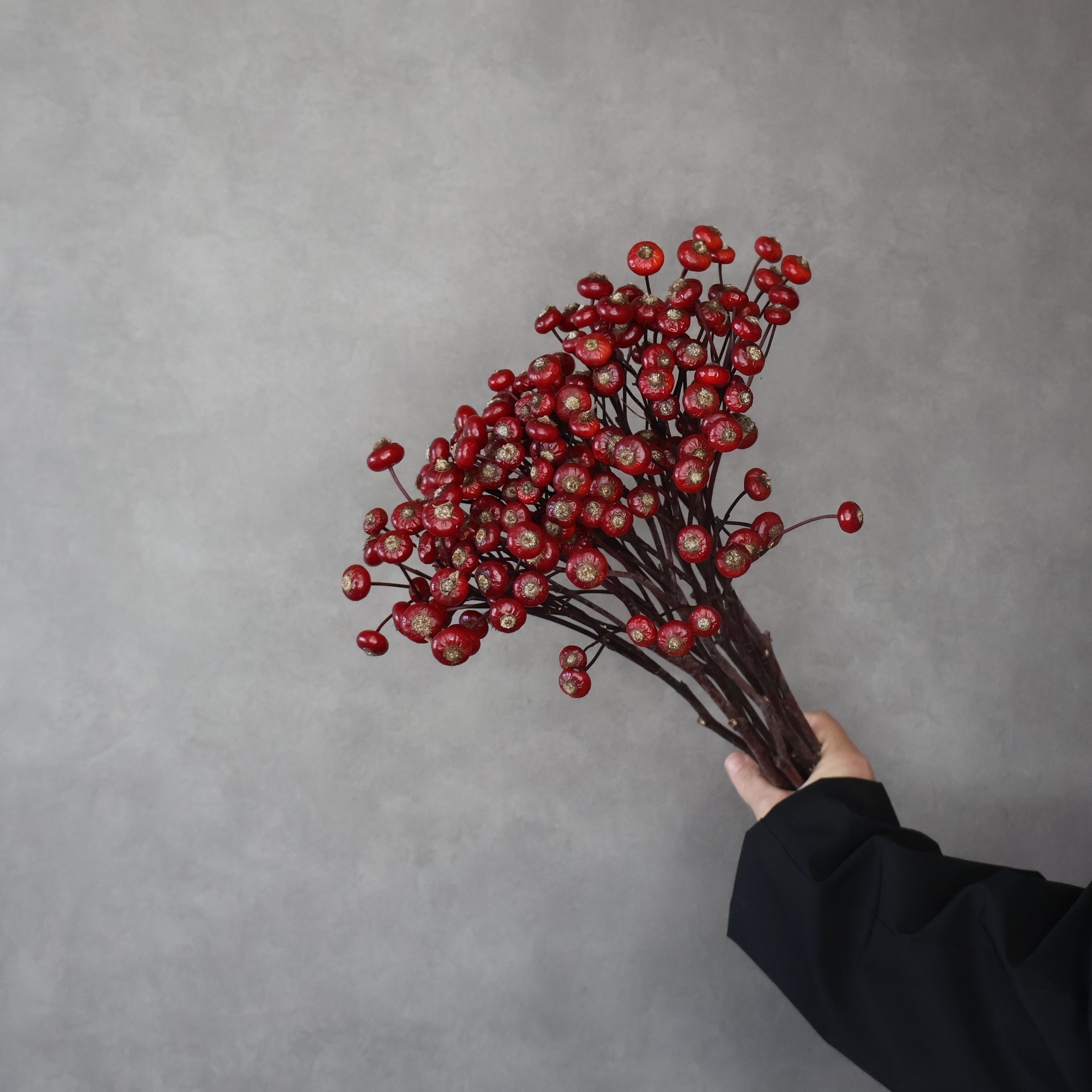 実バラ アメイジングファンタジー　秀 50cm