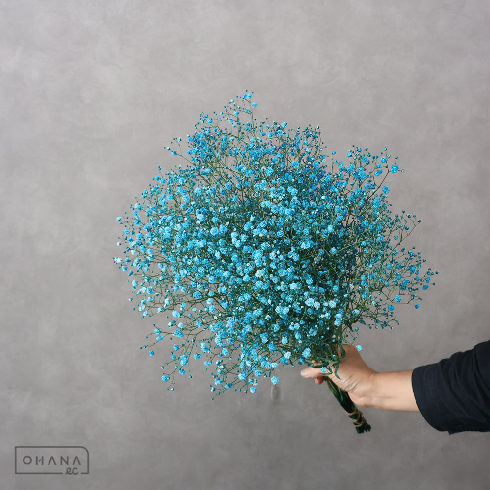 カスミソウ染め　ブルー    優 60cm