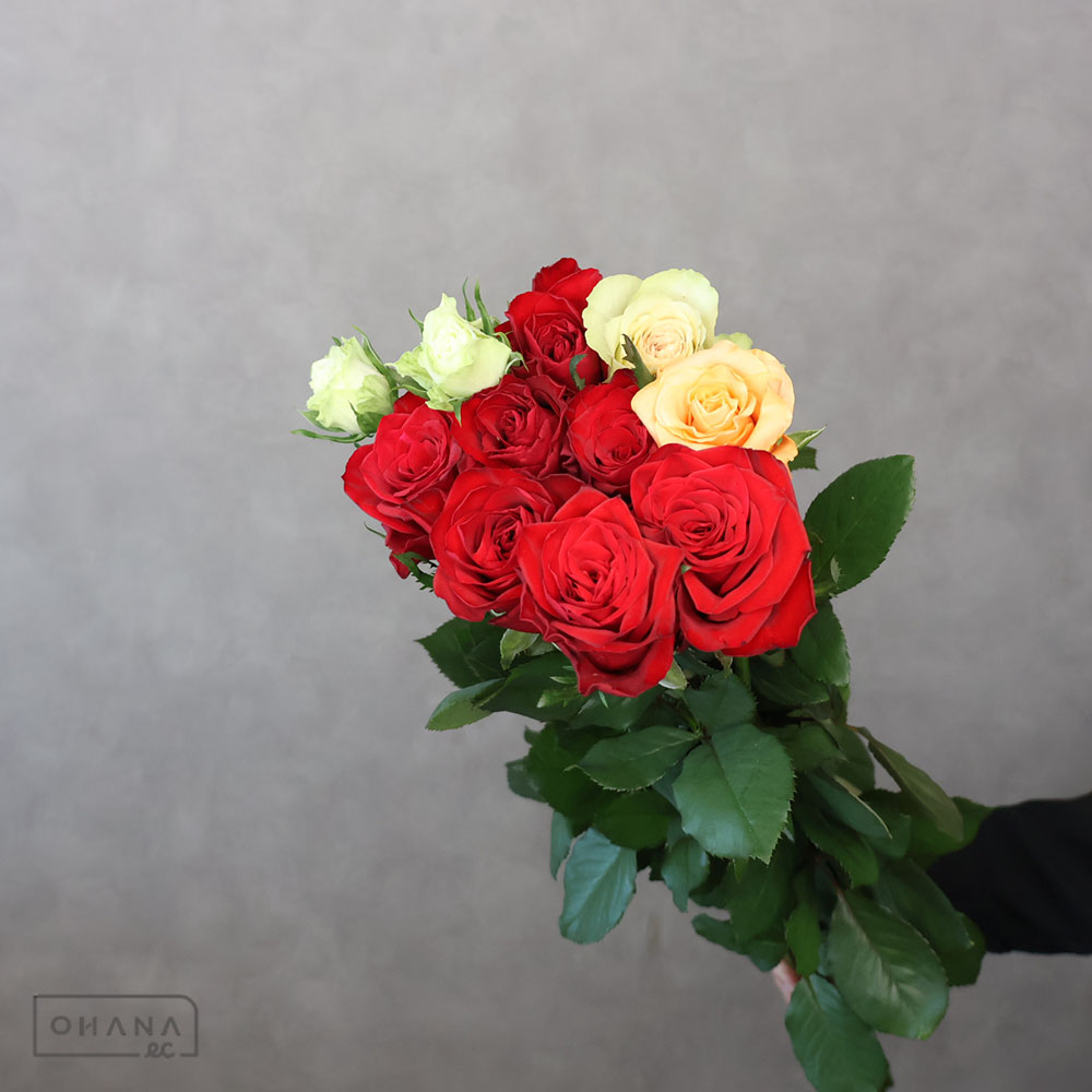 バラ | お花の仕入れならOHANAec