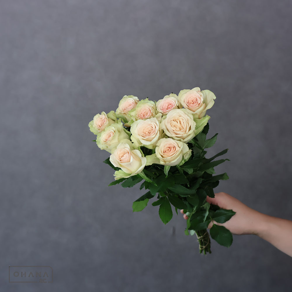 バラの花冠 切花温室にて撮影。 切花品種「サムライ08」 . ✳︎この施設は