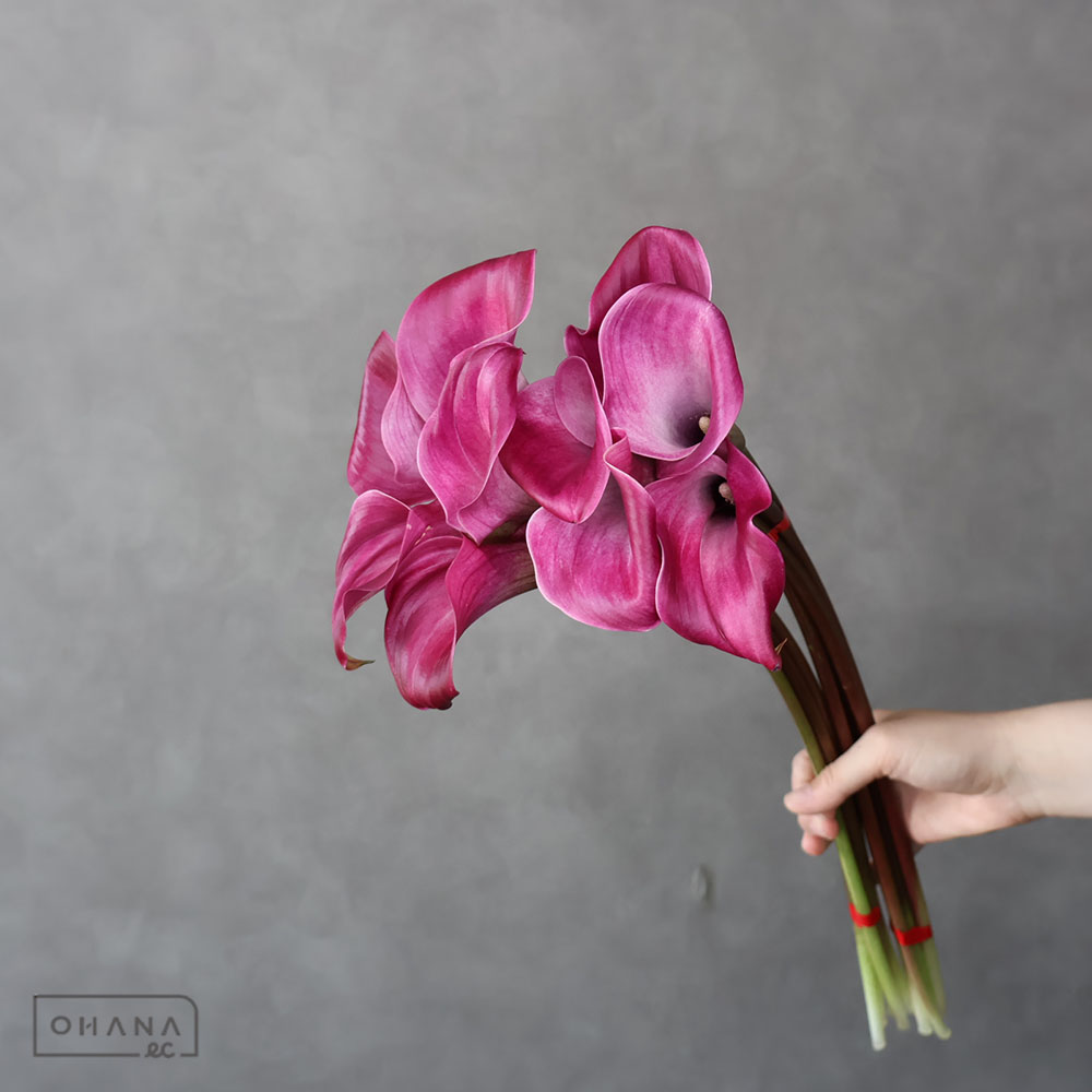 カラー赤　トーキョー　秀 50cm