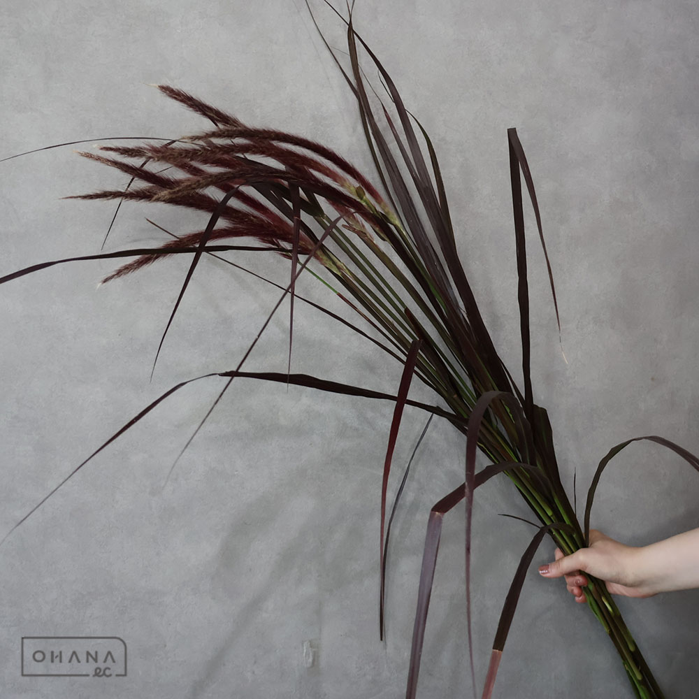 グラス　レッドフォックス　95CM