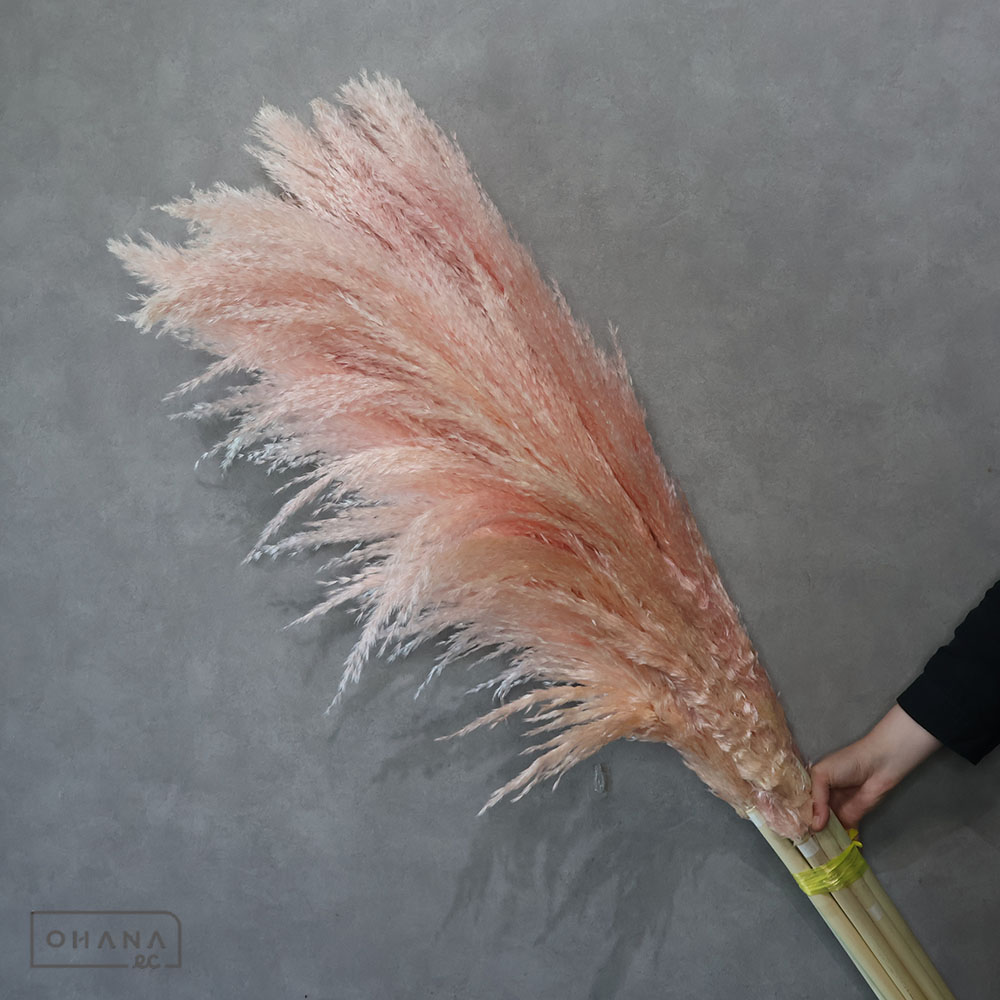 お花の仕入れならOHANAec