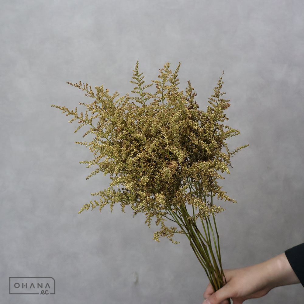 お花の仕入れならOHANAec