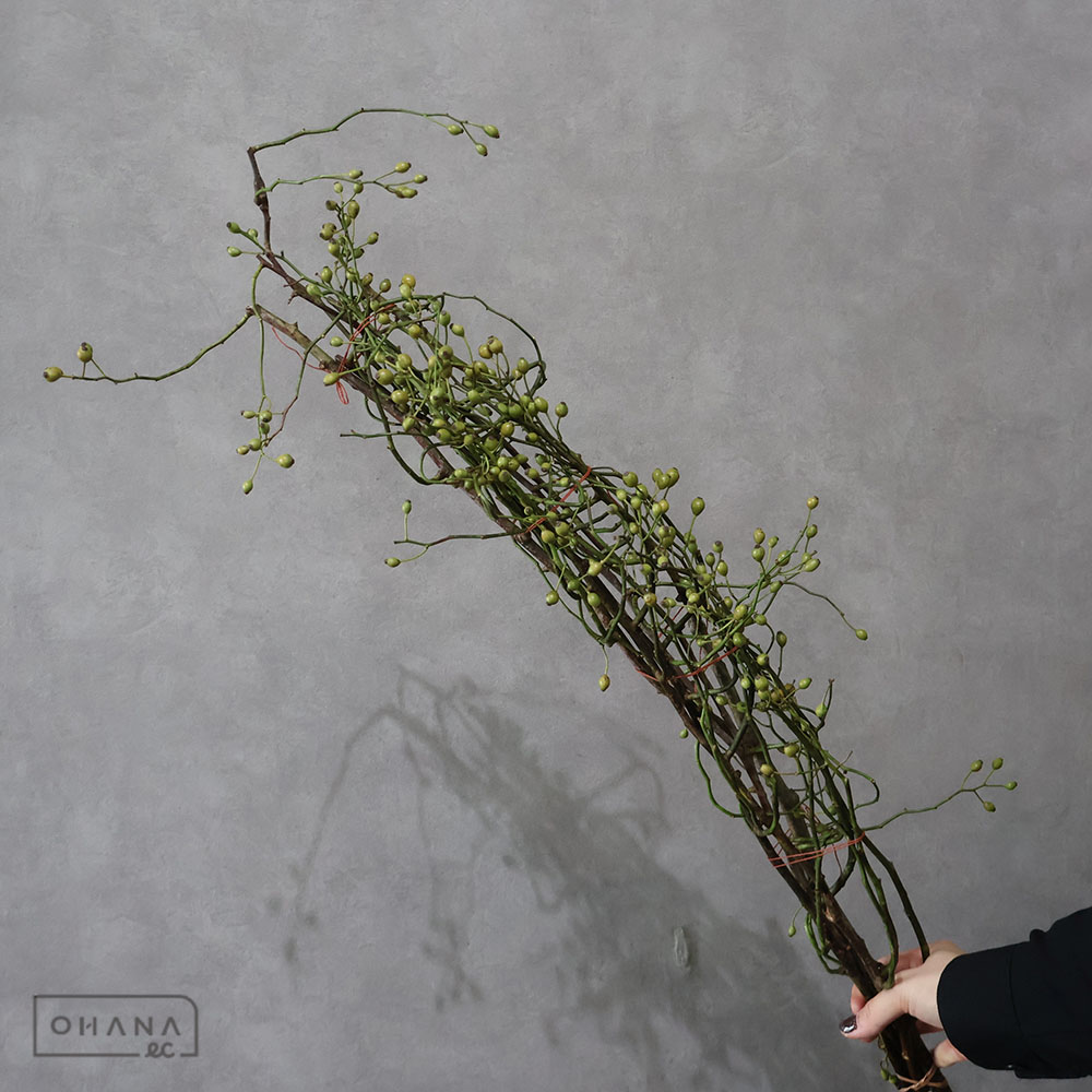 【SALE】野バラ ※5本束　75cm　※クレーム対象外