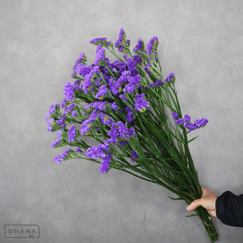 スターチス　サンデ－ヴァイオレット　秀 70cm