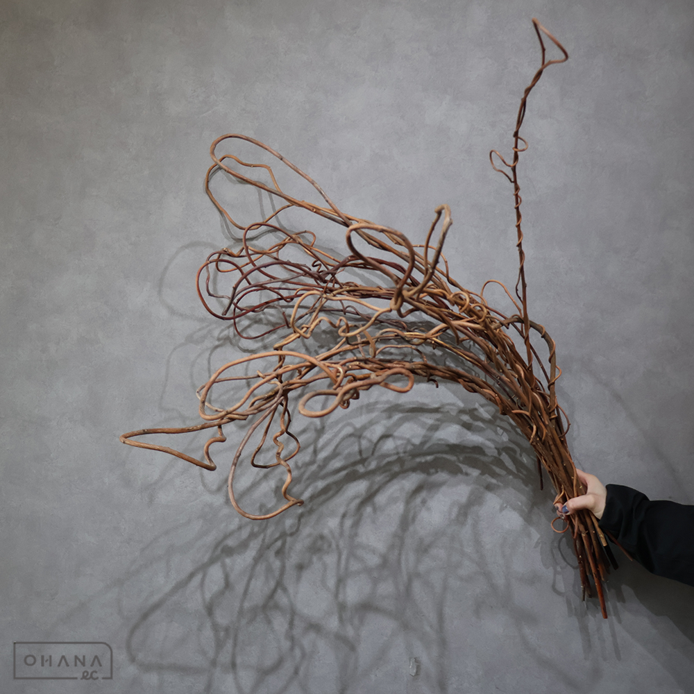 紅づる ※20本束　大