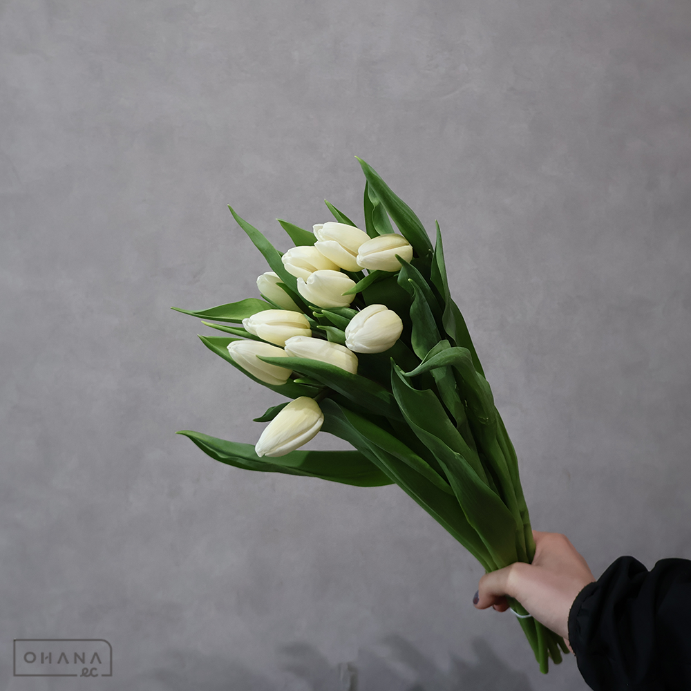 チューリップ白　ホワイトプリンセス　秀2L