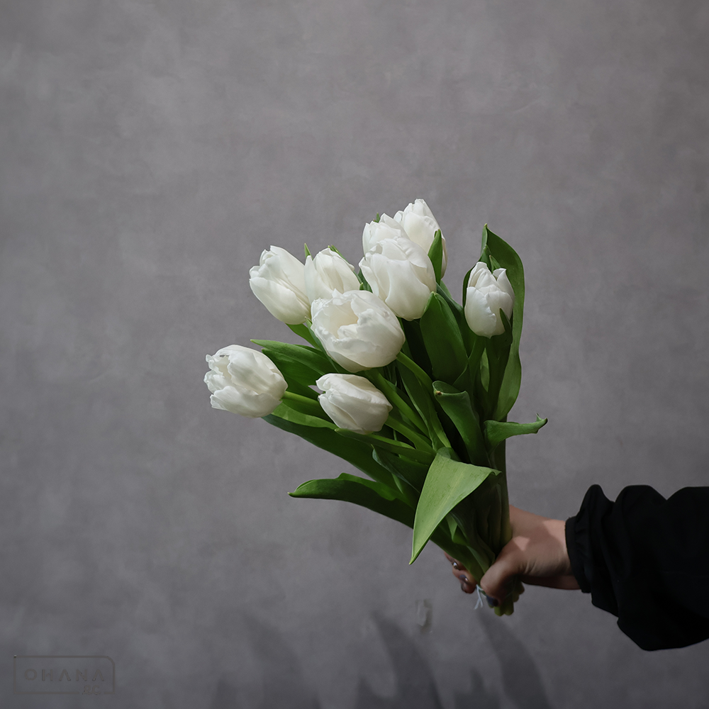 チューリップ白　ホワイトマーベル　秀L