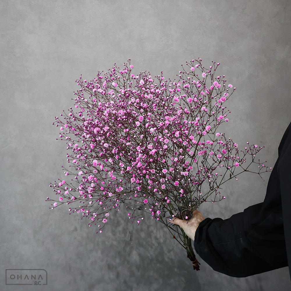 カスミソウ染め　ピンク　 60cm