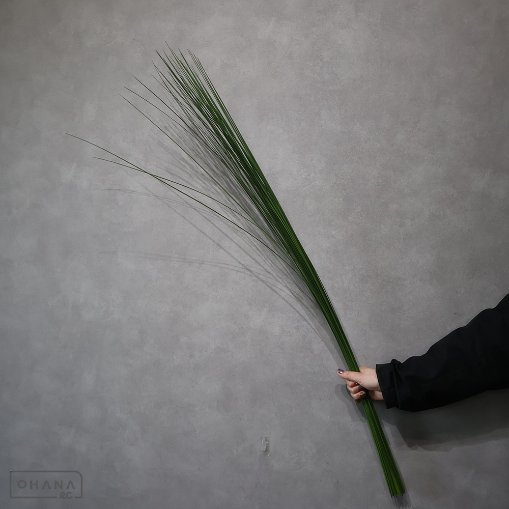 【SALE】スチールグラス 1.2-1.1m  ※50本束　※クレーム対象外