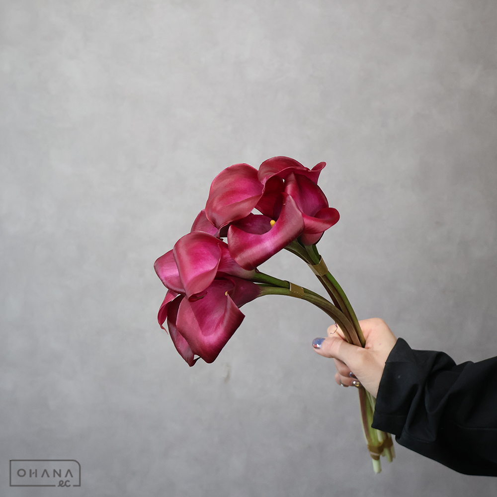 カラー スマトラ 秀40cm