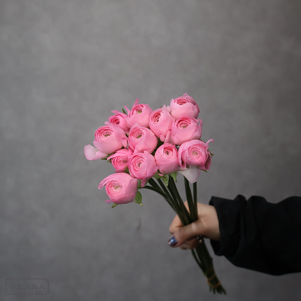 ラナンキュラス シュノンソー 秀50cm