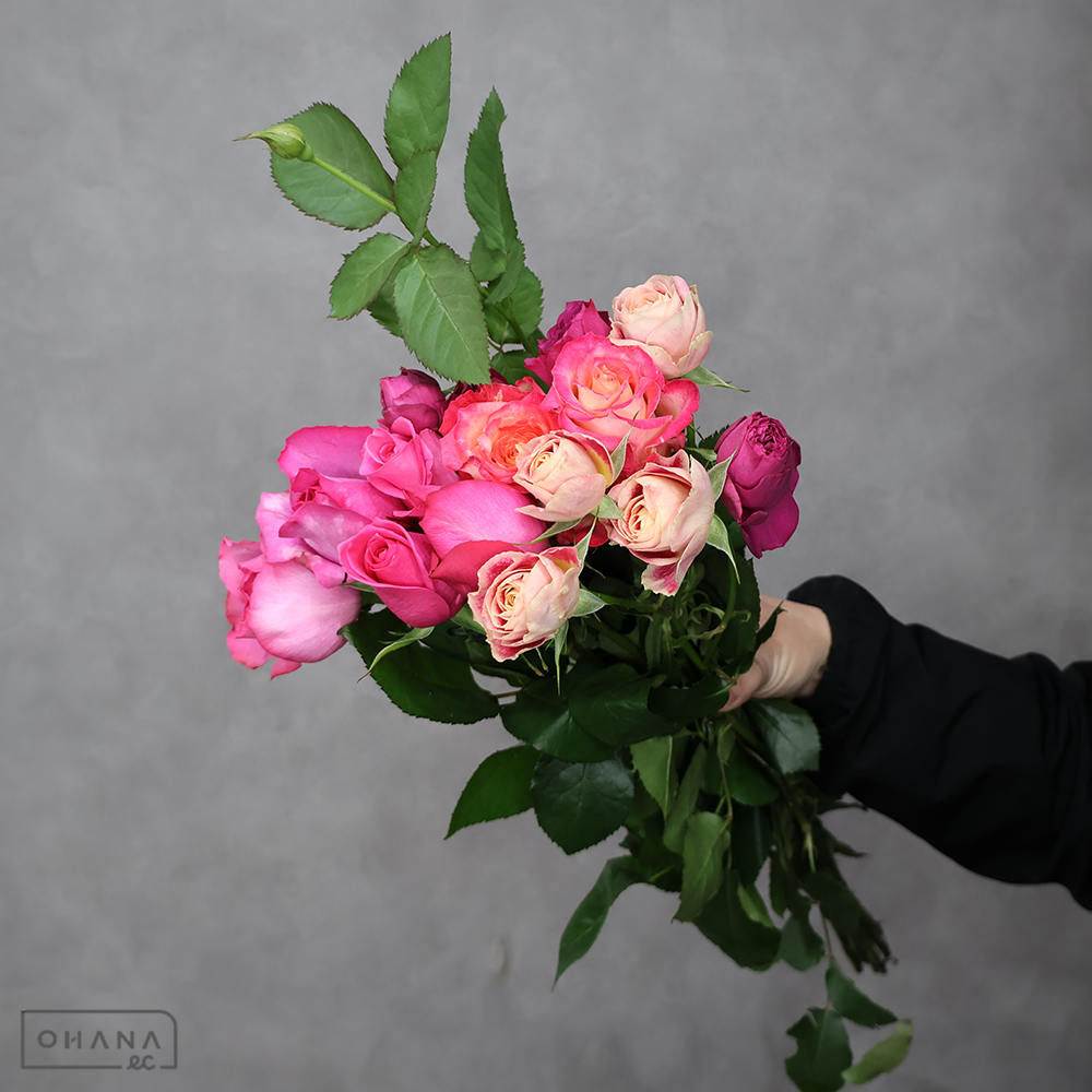 【SALE】バラ MIX ⑤　※クレーム対象外