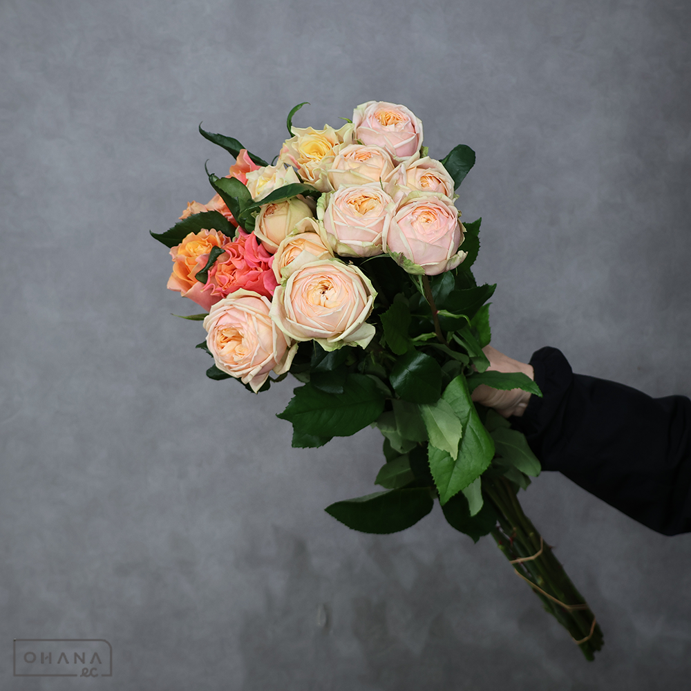 【SALE】バラ MIX ③　※クレーム対象外