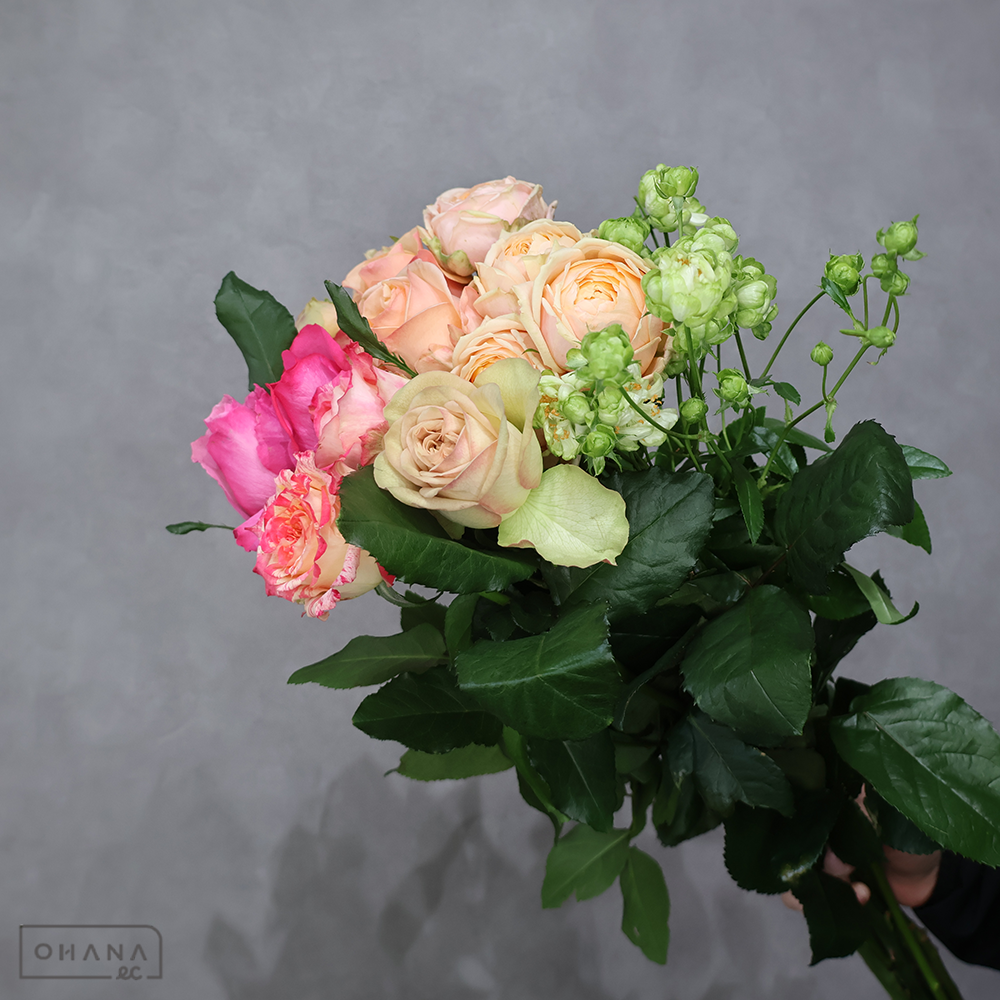 バラ MIX ② 70-60cm