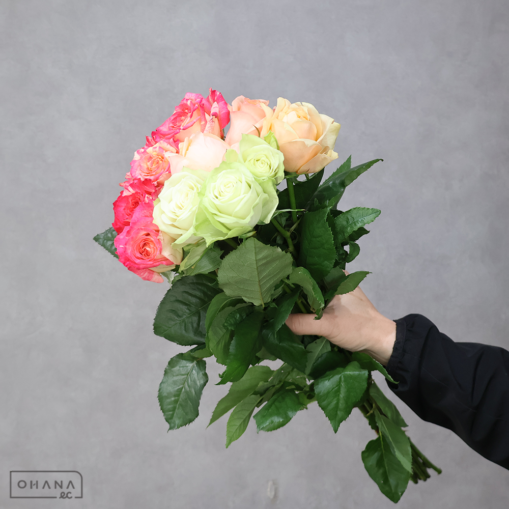 バラ MIX ④　70-60