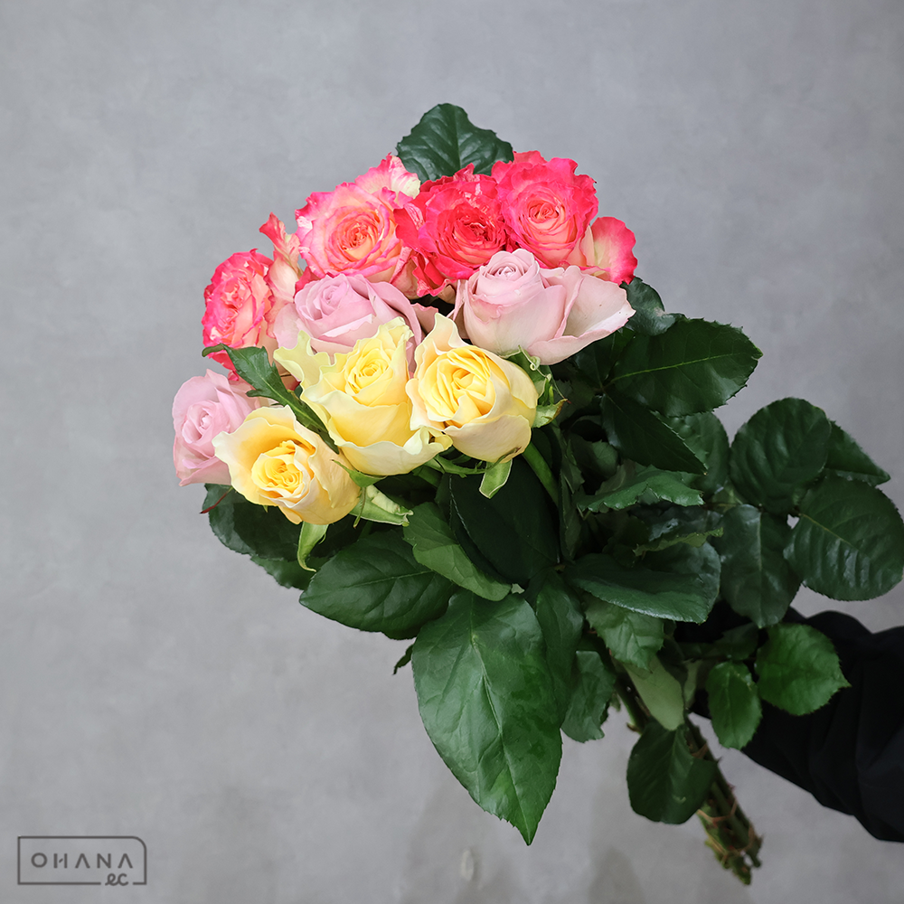 バラ MIX ③　70-60