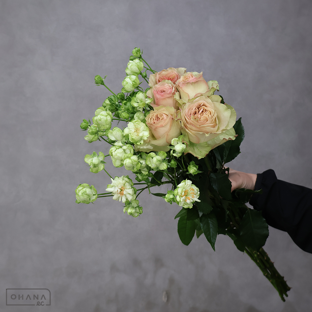 バラ MIX ②　70-60