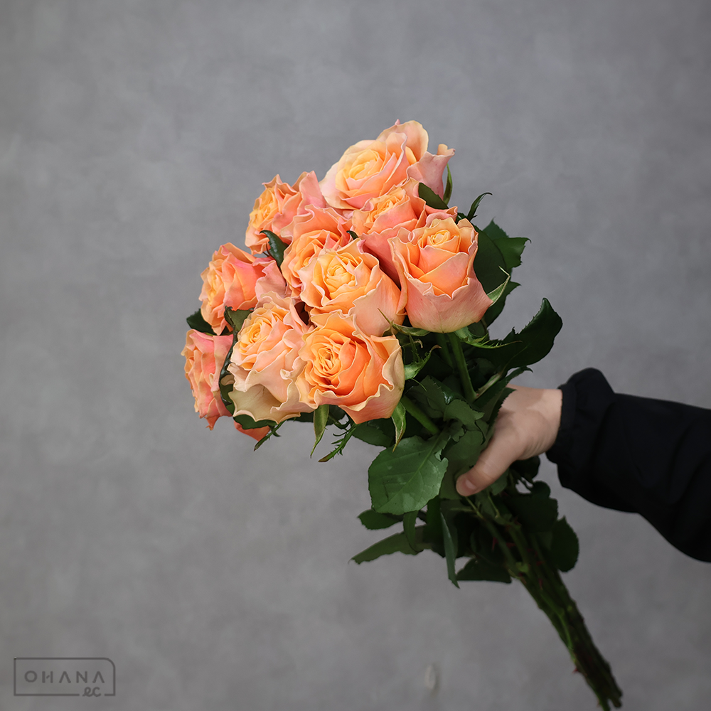 バラ MIX ①　70-60